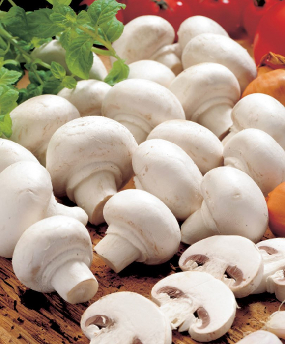 Hoe bewaar je paddenstoelen - tips