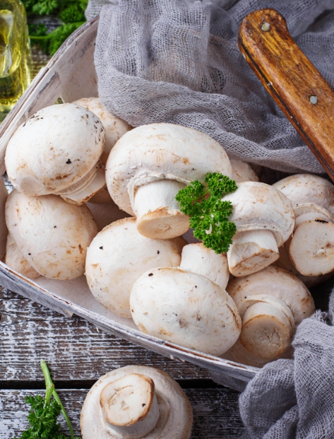 Regels en voorwaarden voor het bewaren van verse champignons in de koelkast